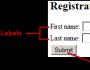 Karių formų kūrimas ir tikrinimas indekso php registracijos forma